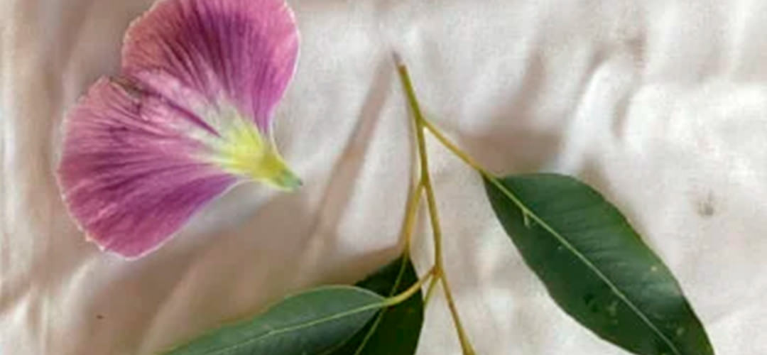 Workshop-2_Botanical