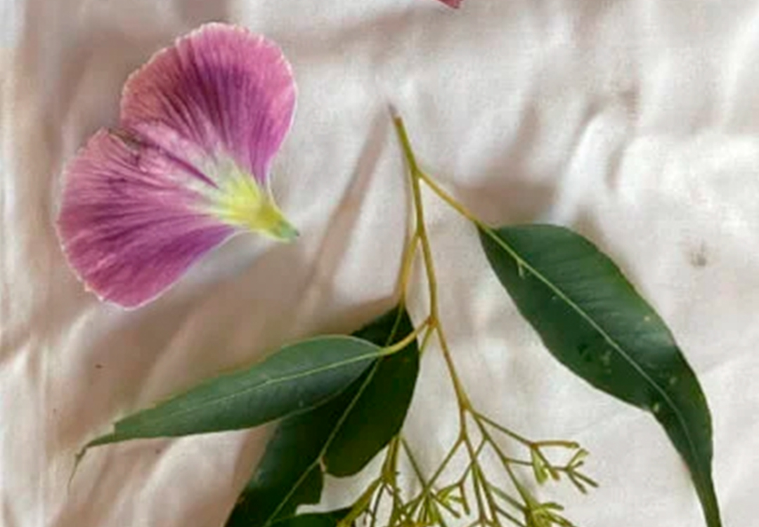Workshop_Botanical-2